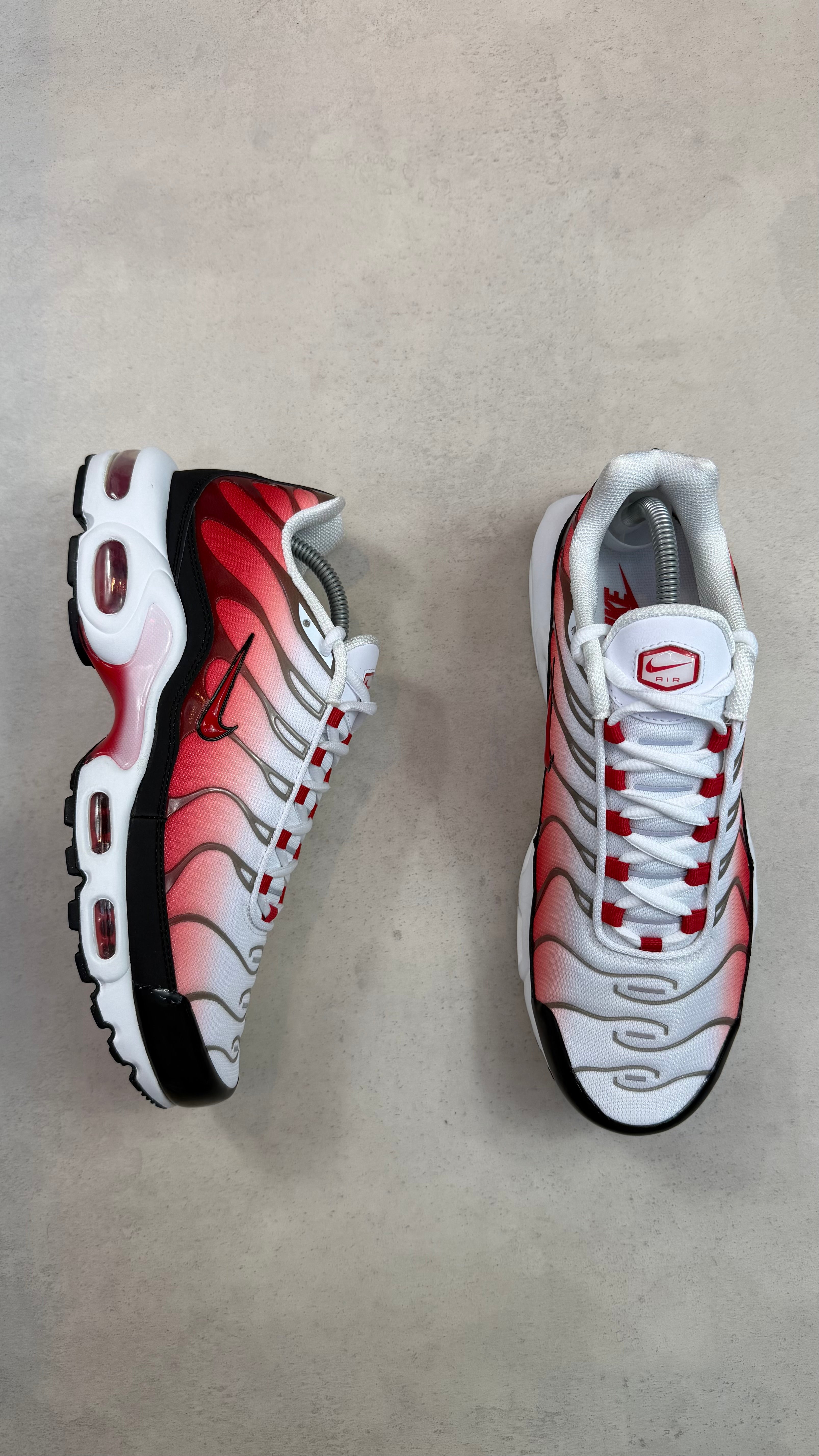 TN White University Red