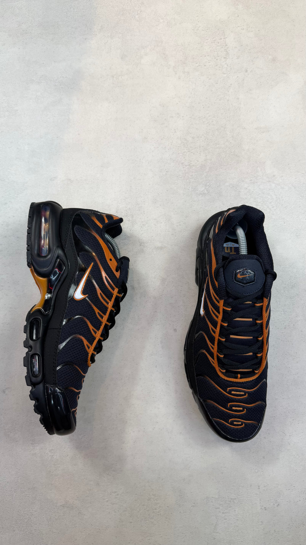 TN Obsidian Monarch