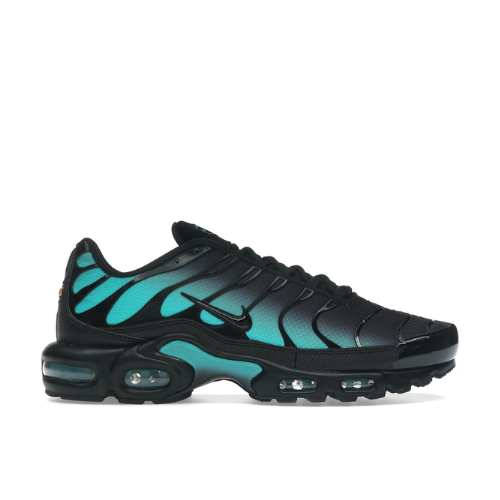 TN Dusty Cactus