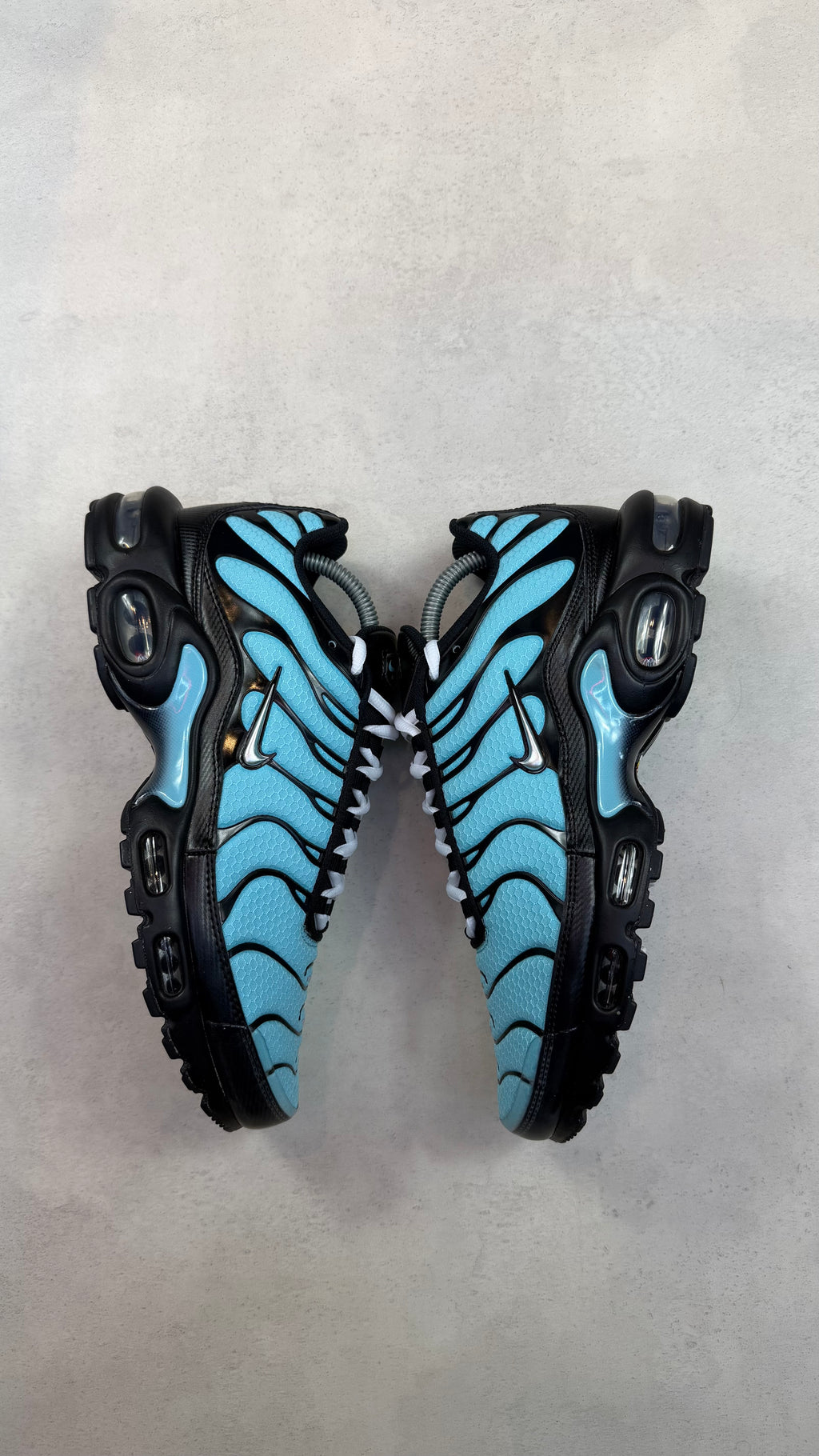 TN Tiffany