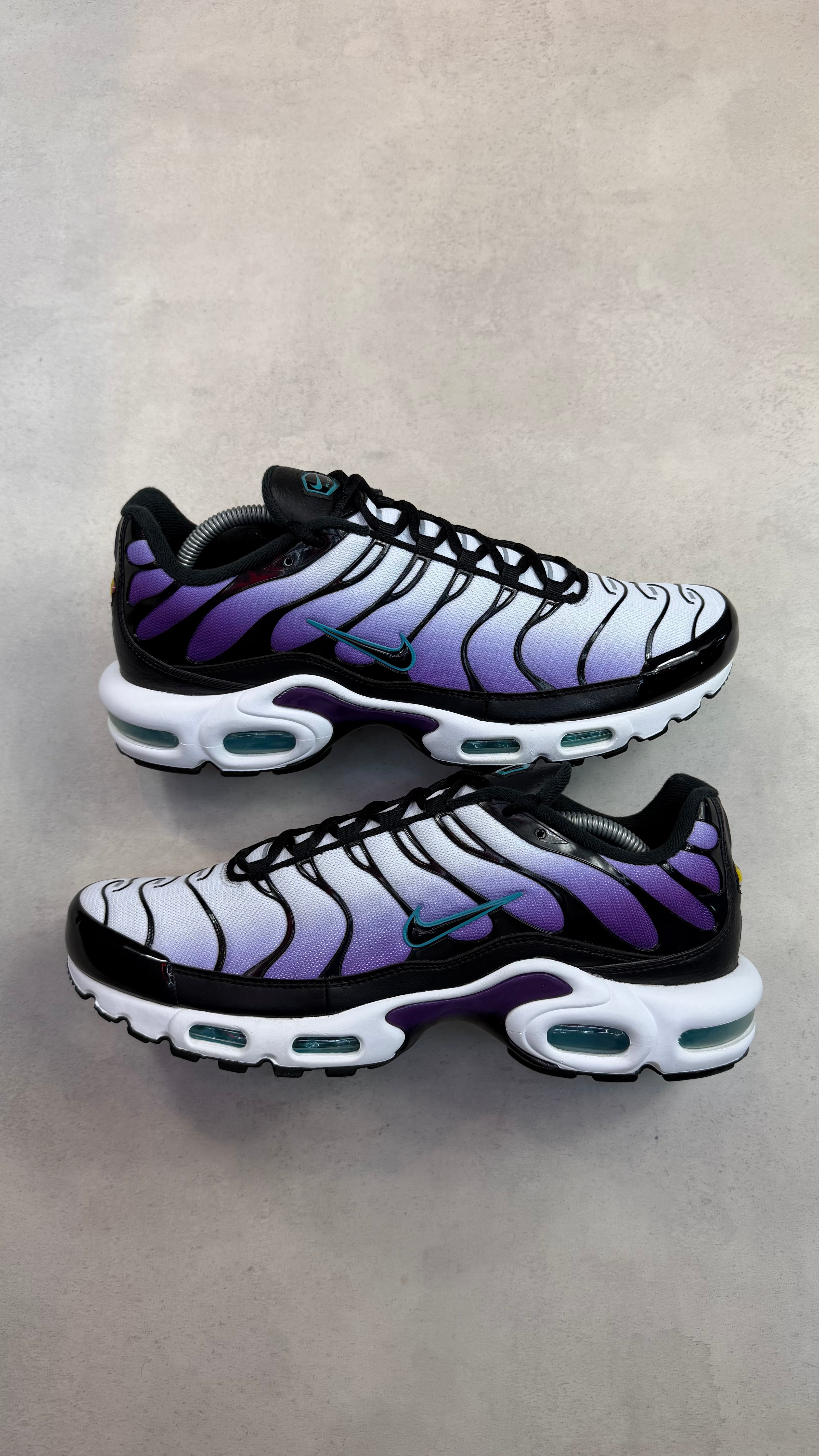 TN Reverse Grape