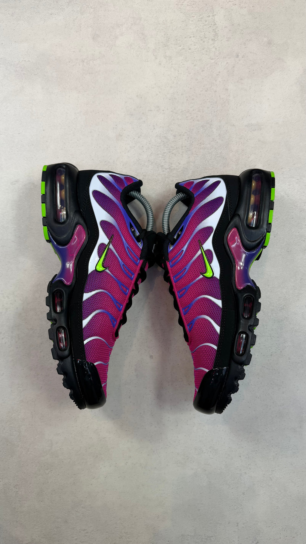 TN Fireberry