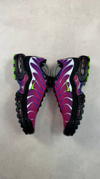 TN Fireberry