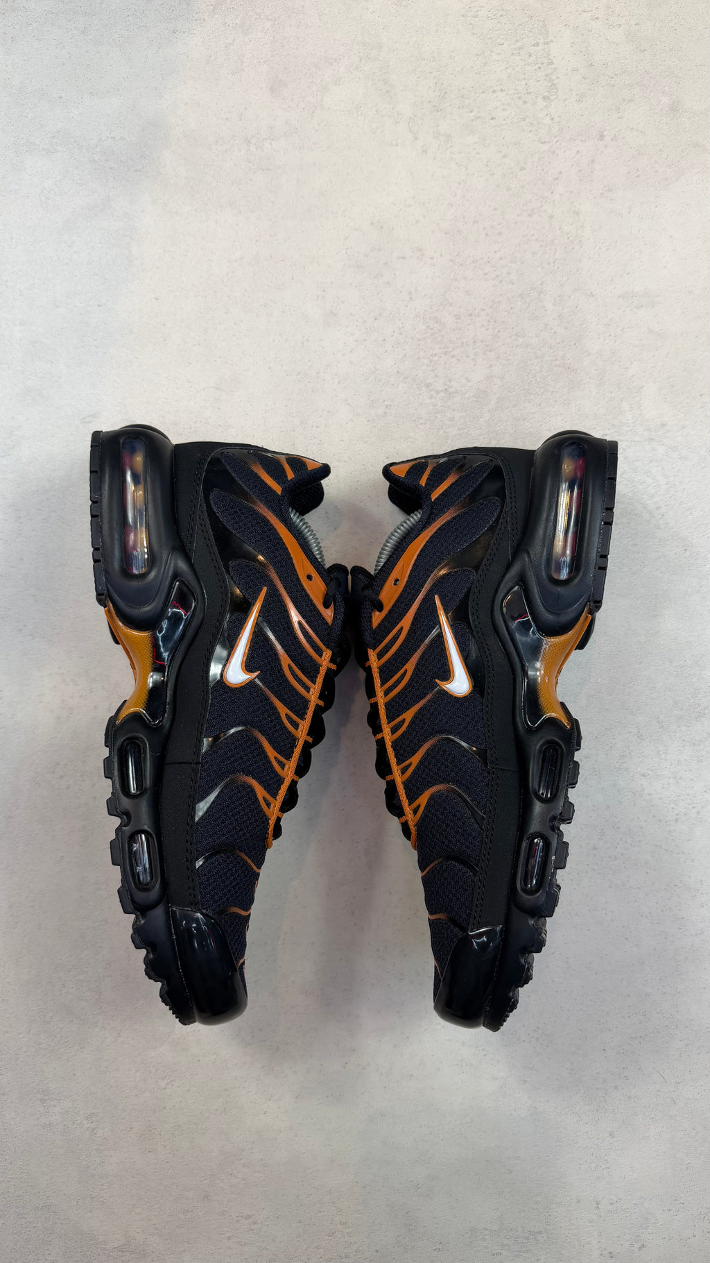 TN Obsidian Monarch