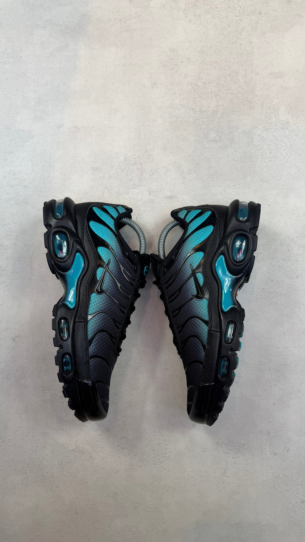TN Dusty Cactus