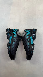 TN Dusty Cactus