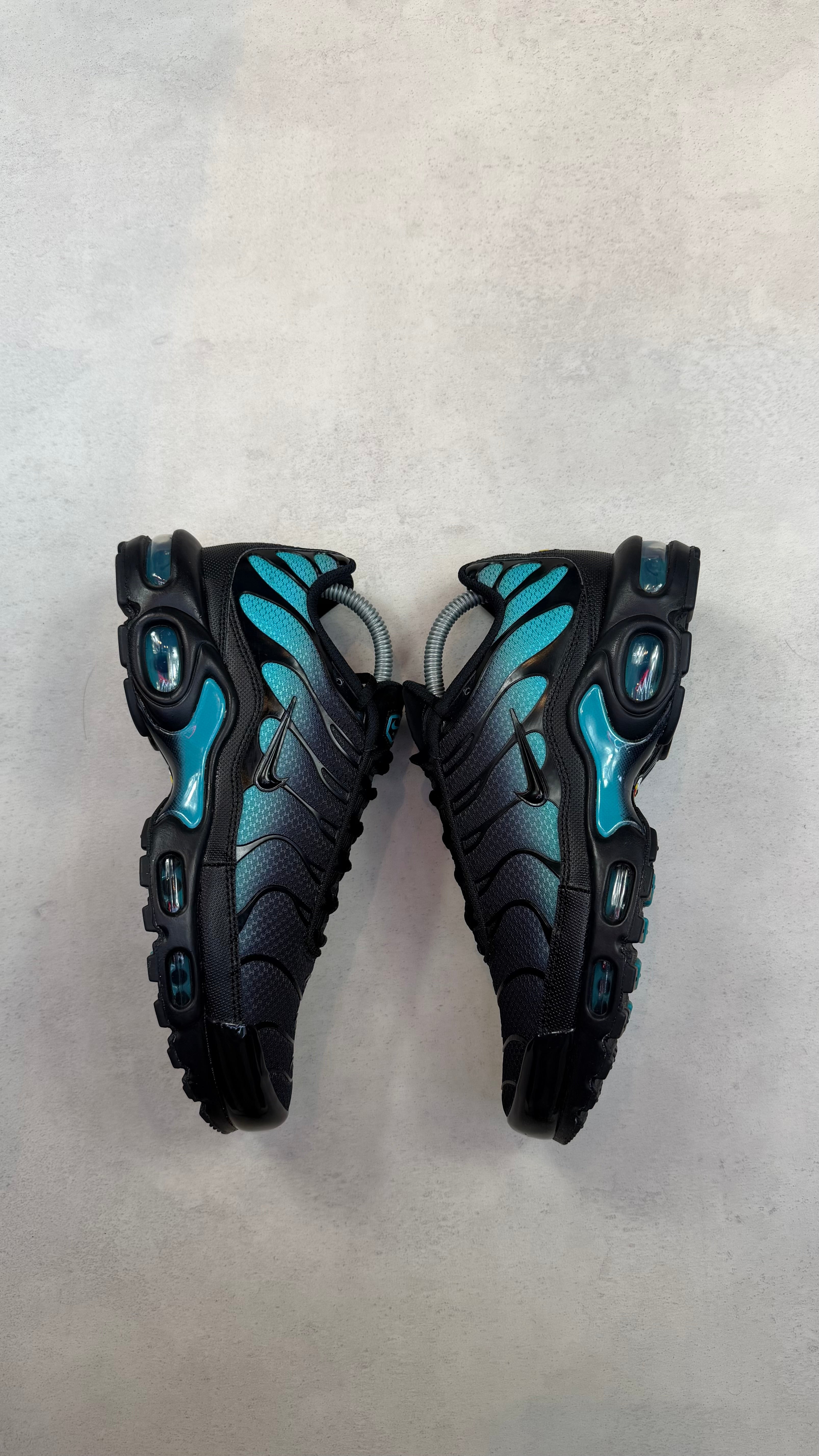 TN Dusty Cactus