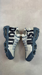 Air Max 95 Fuji