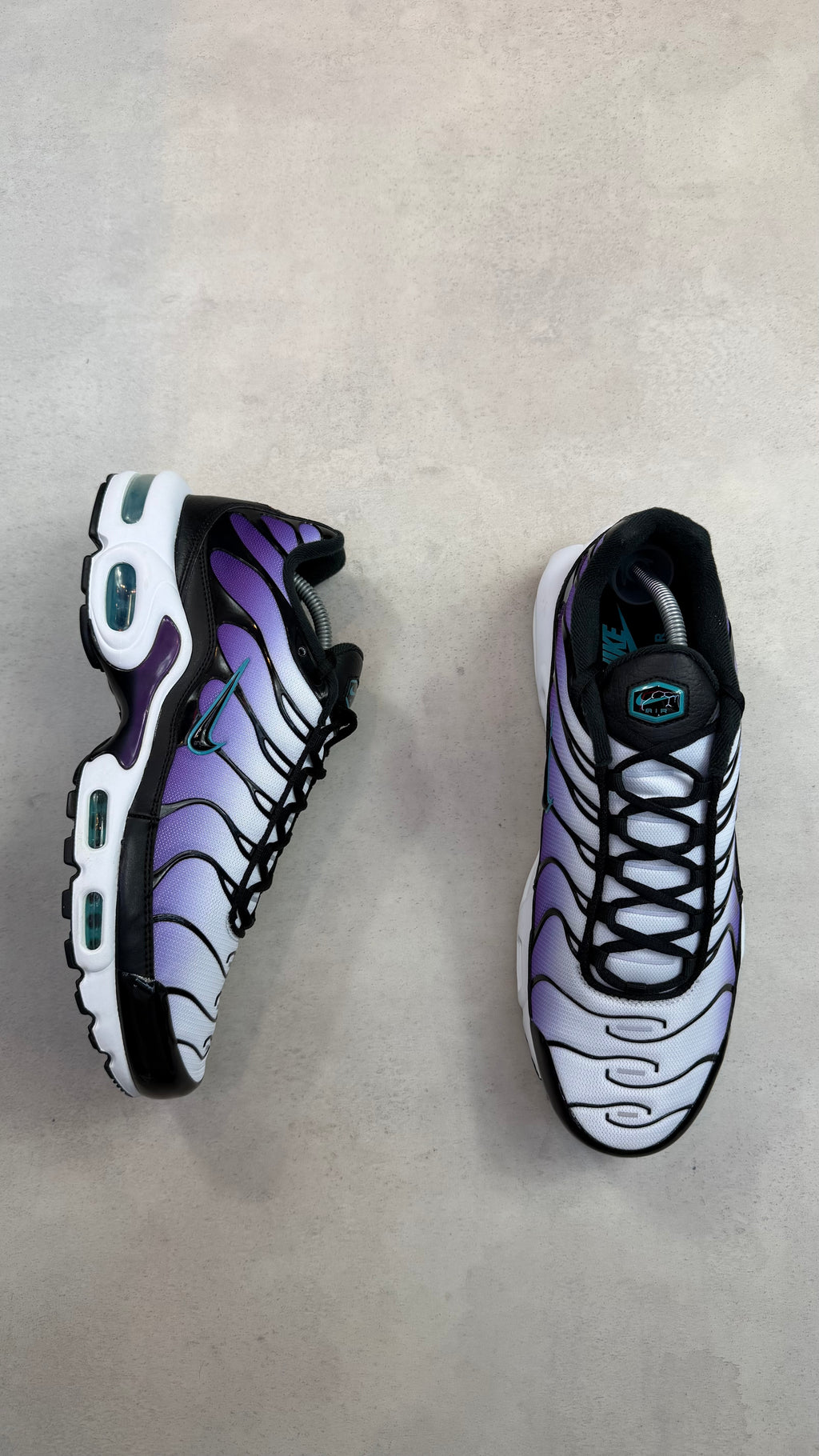 TN Reverse Grape