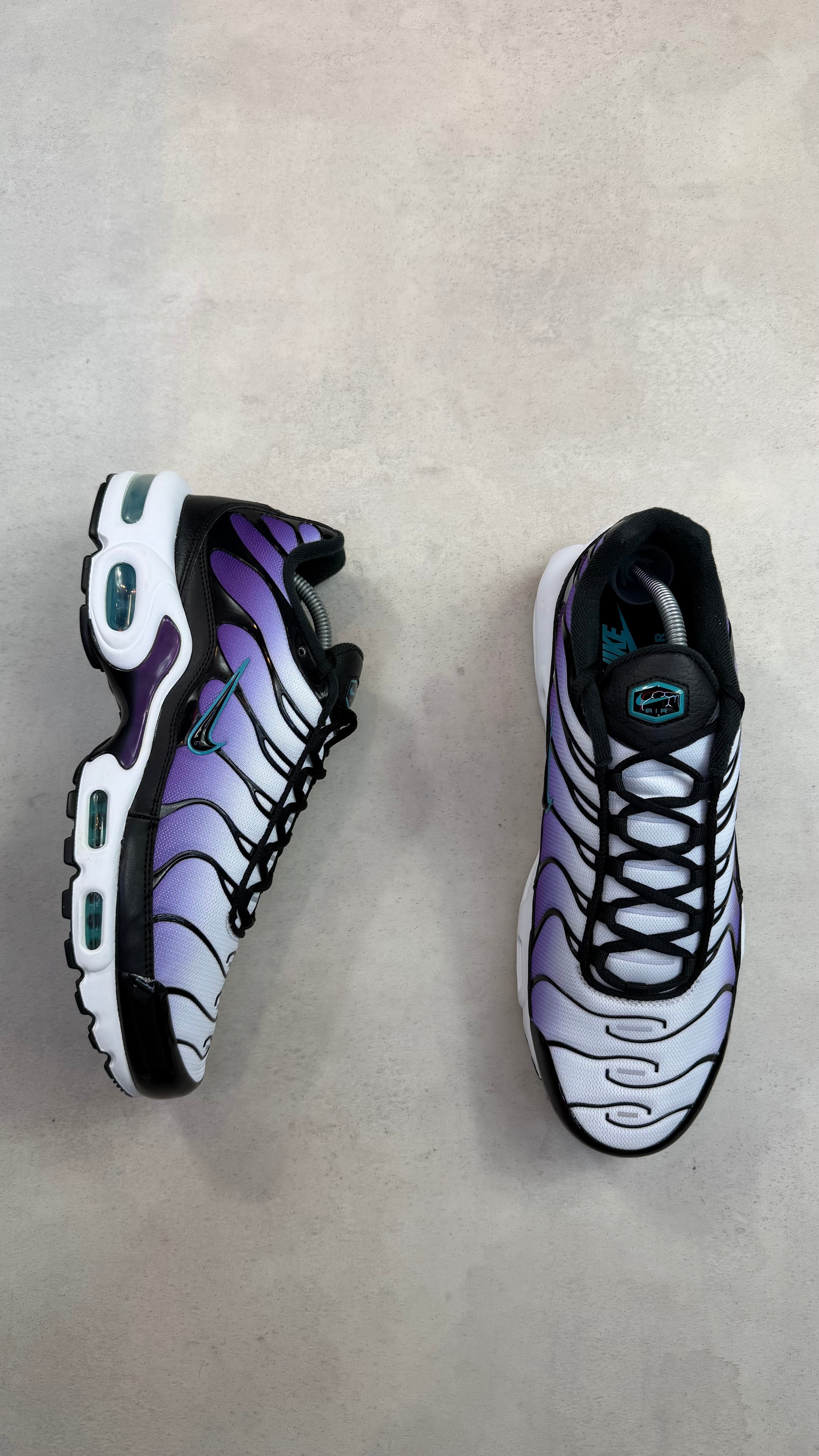 TN Reverse Grape
