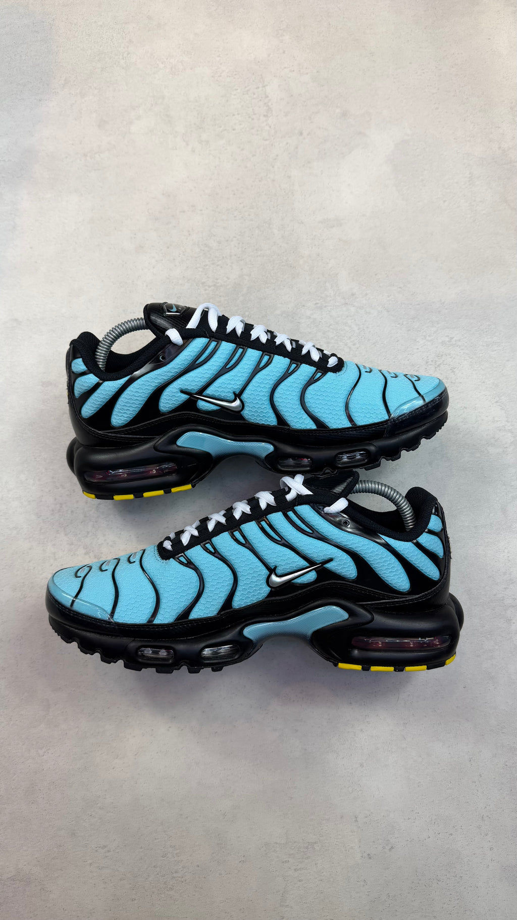 TN Tiffany