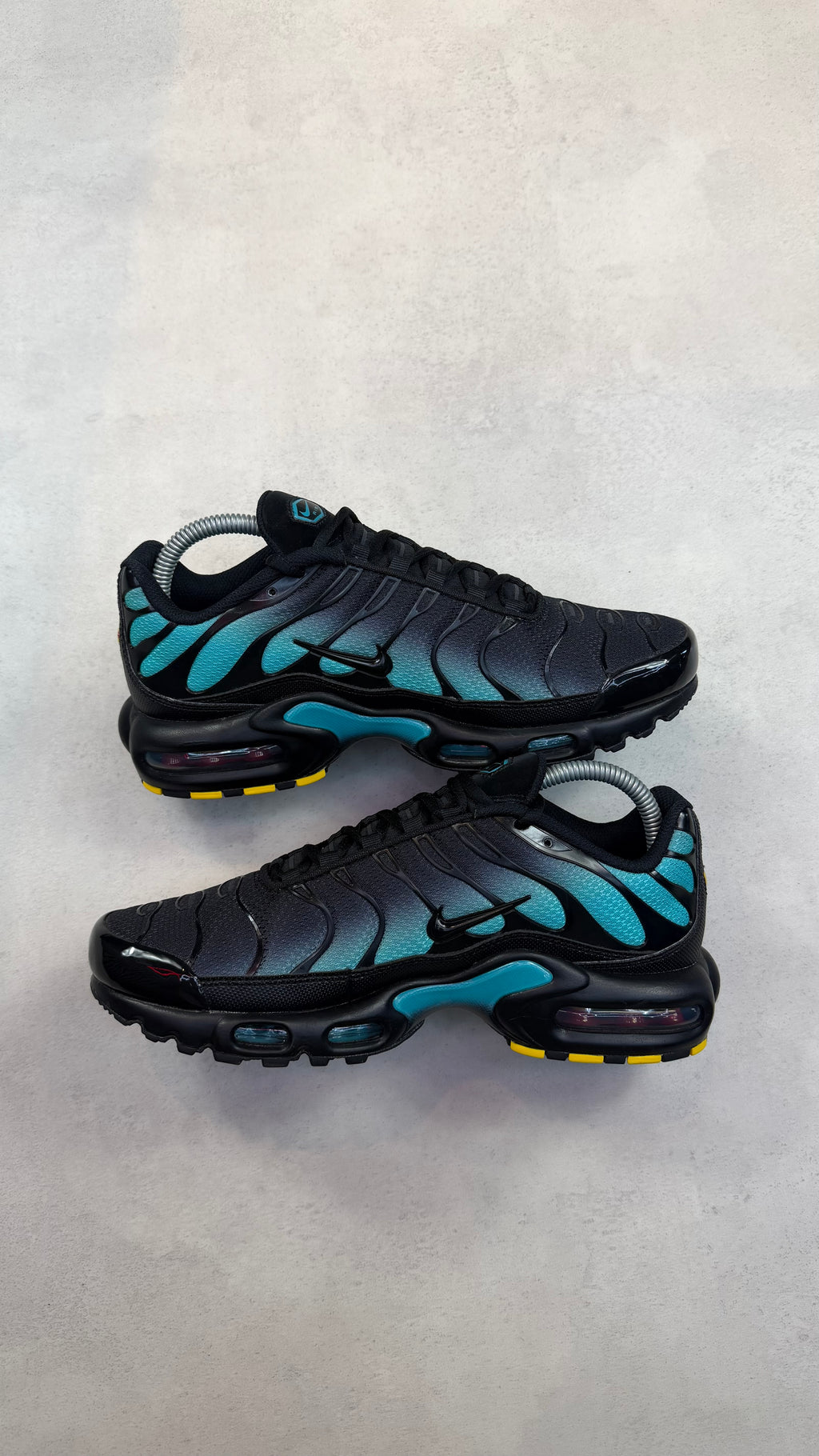TN Dusty Cactus