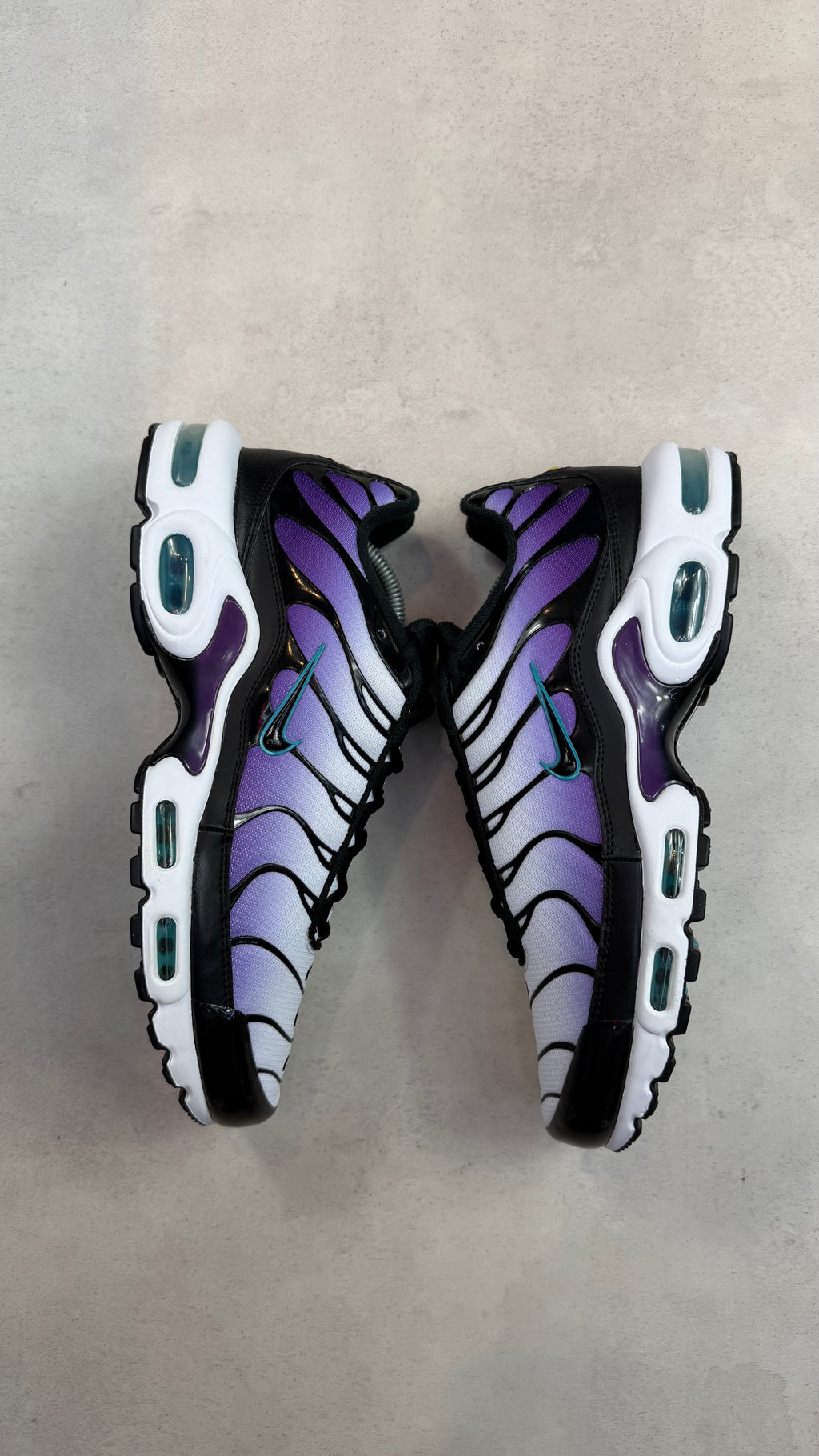 TN Reverse Grape
