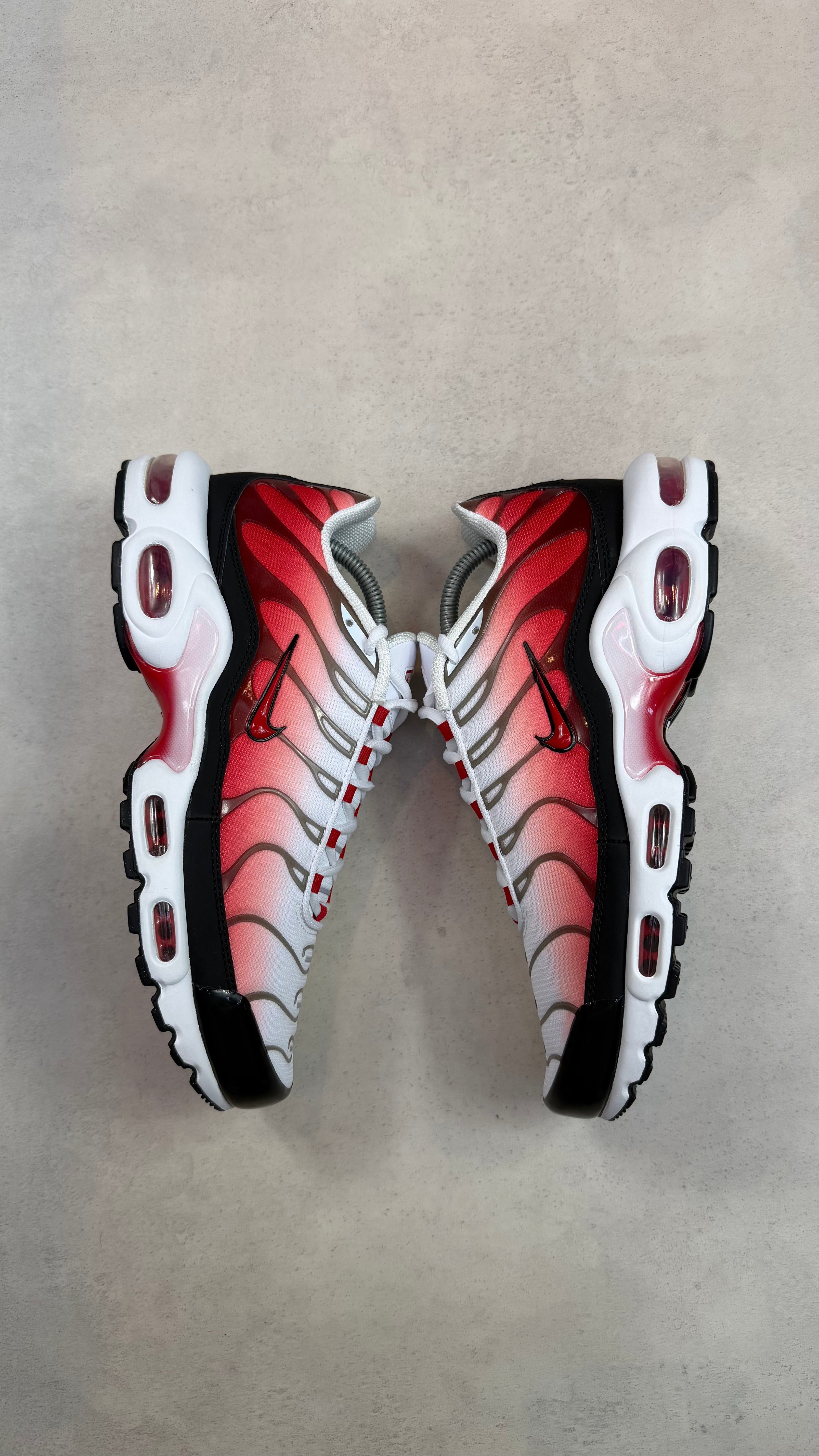 TN White University Red