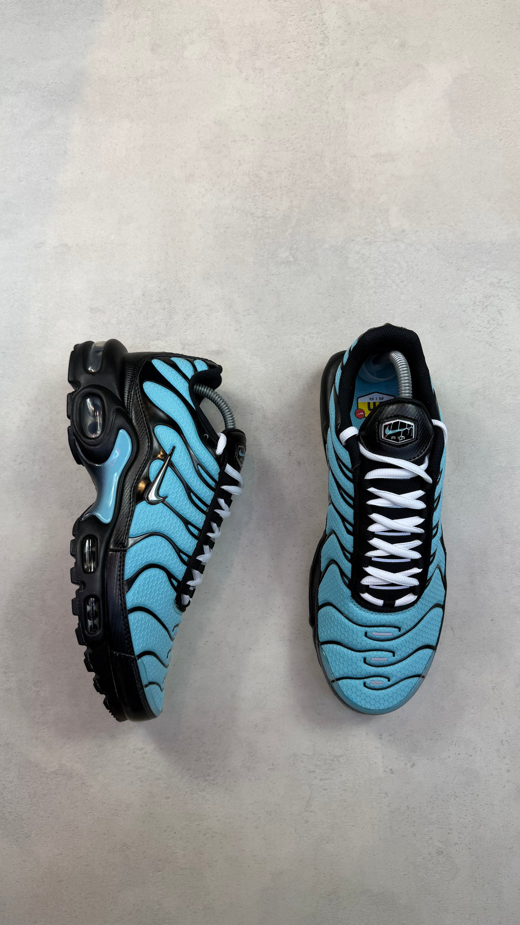 TN Tiffany