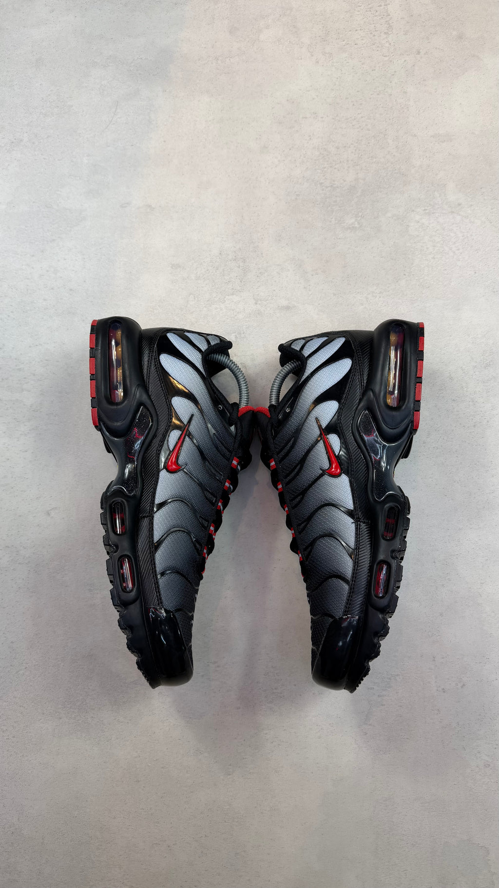 TN Dracula