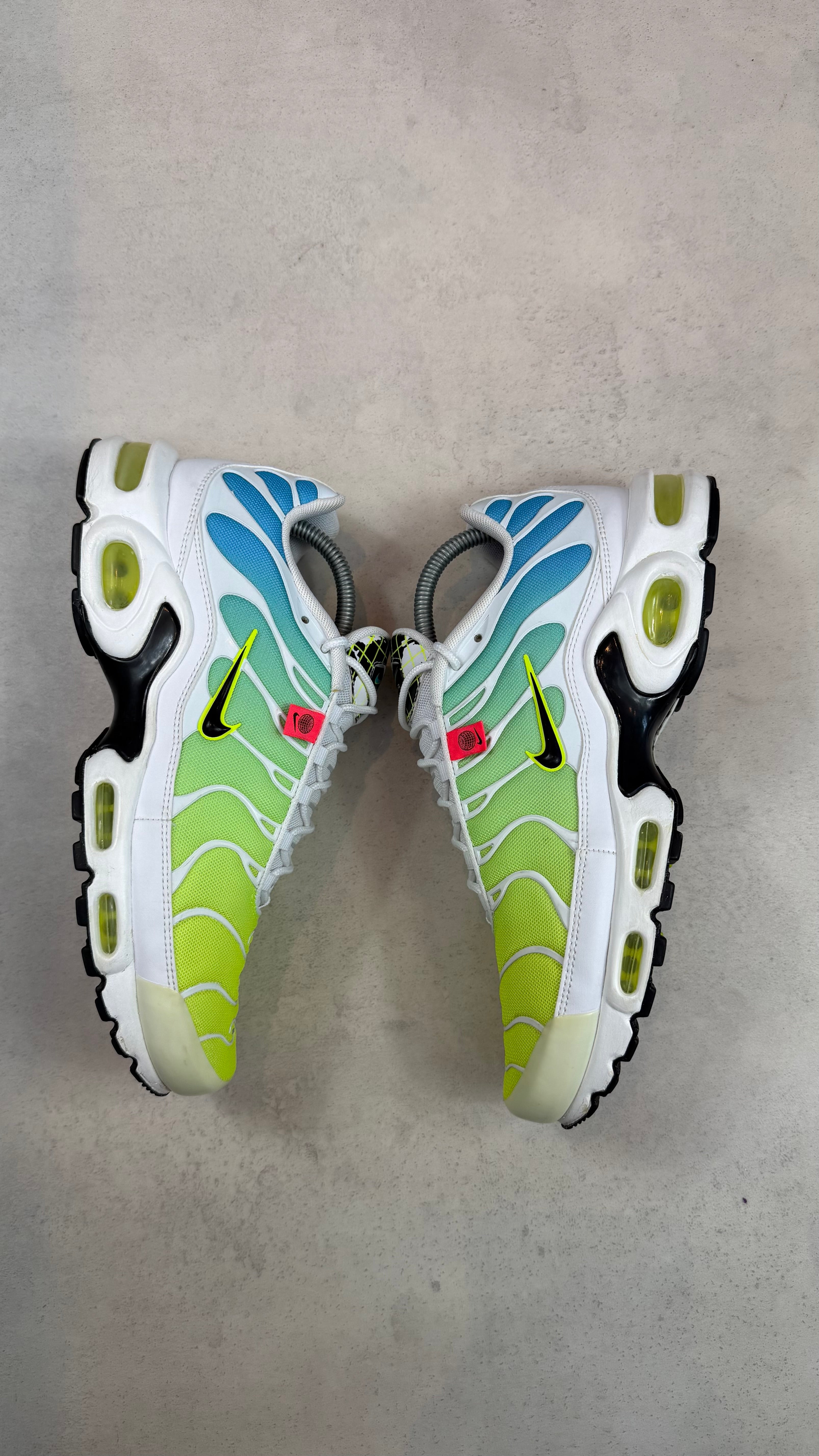 TN Worldwide Green/Blue (Used)