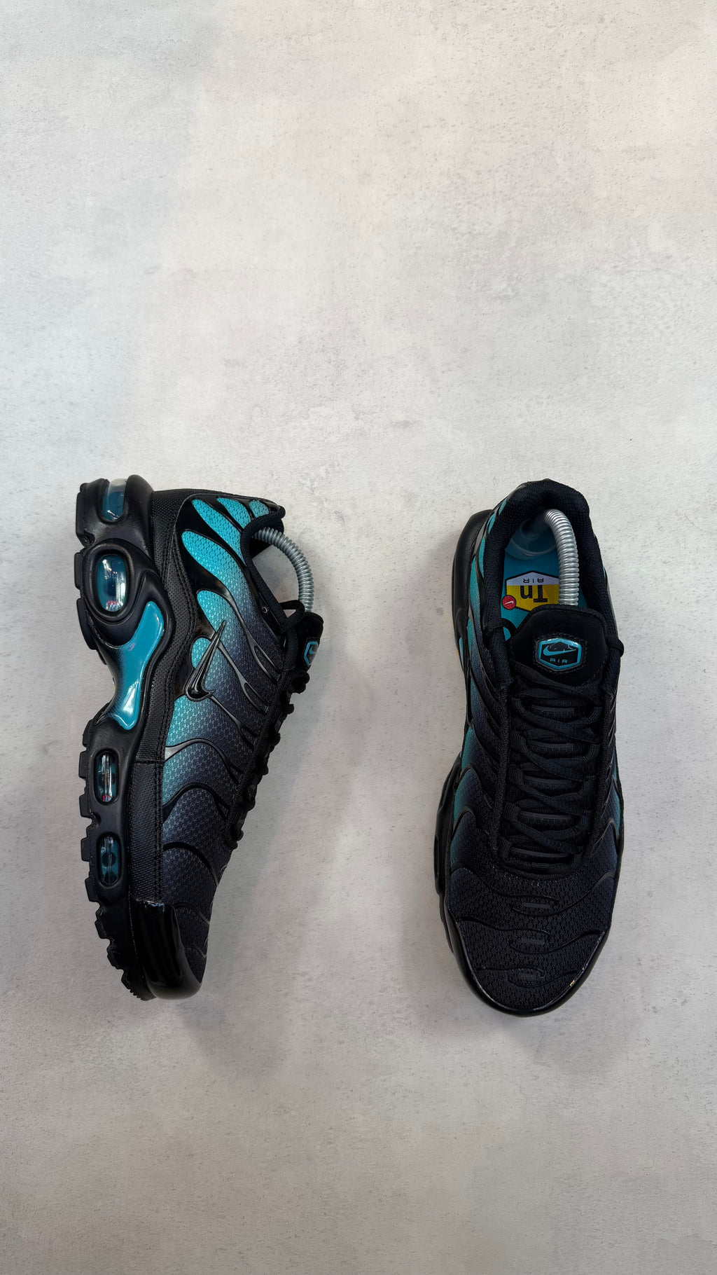 TN Dusty Cactus