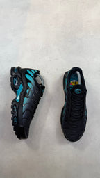 TN Dusty Cactus