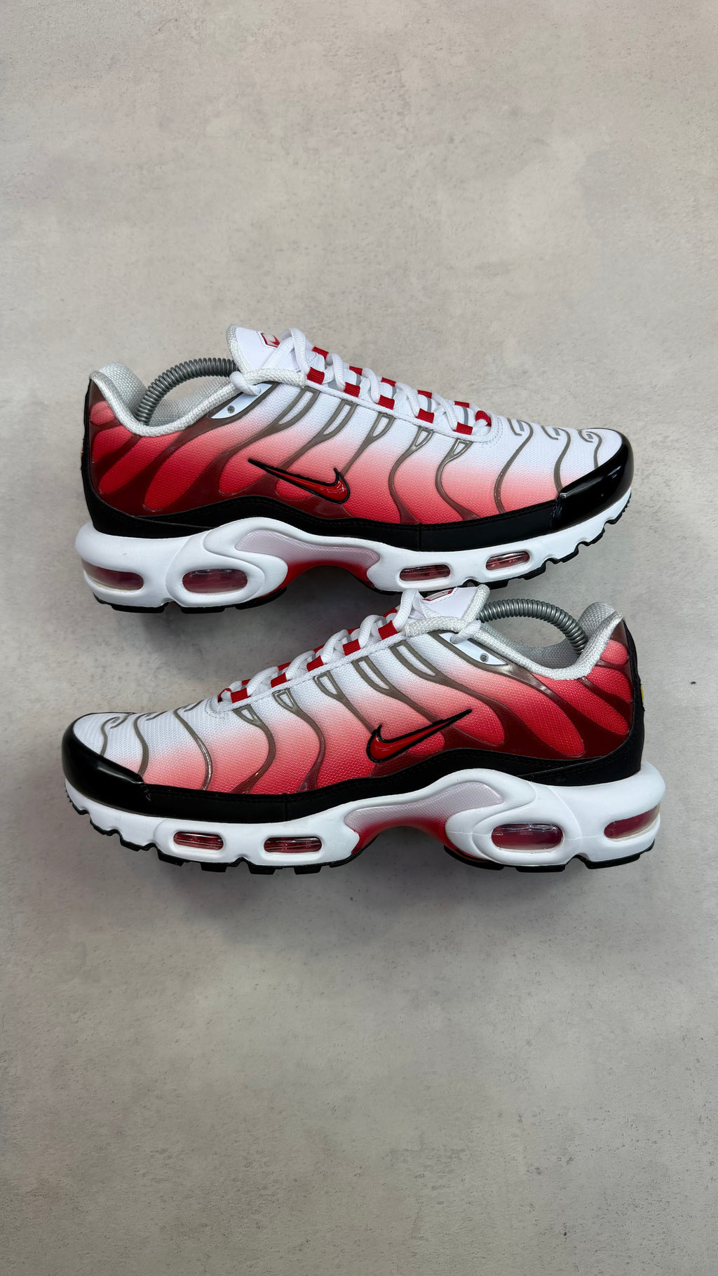 TN White University Red
