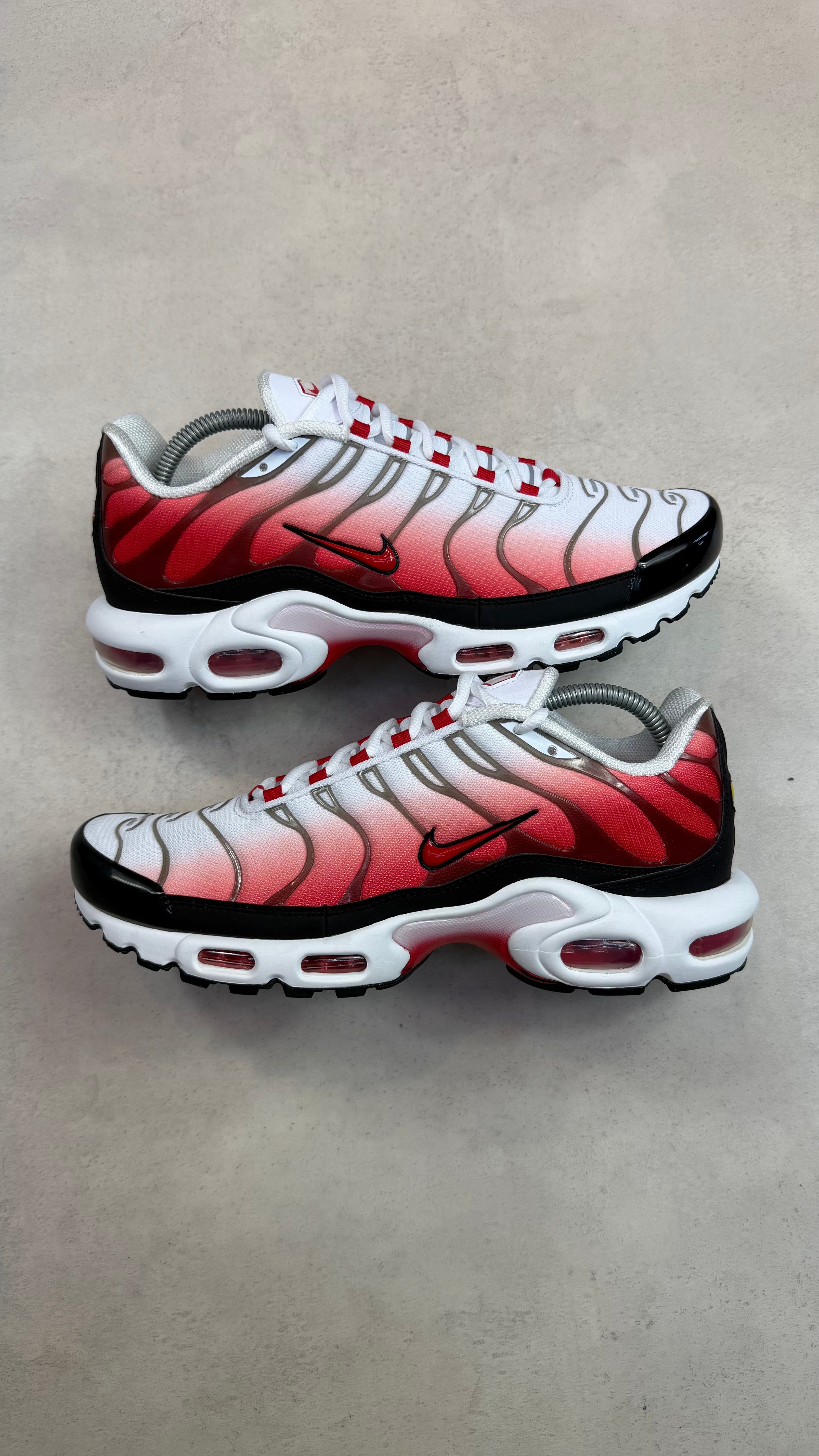 TN White University Red