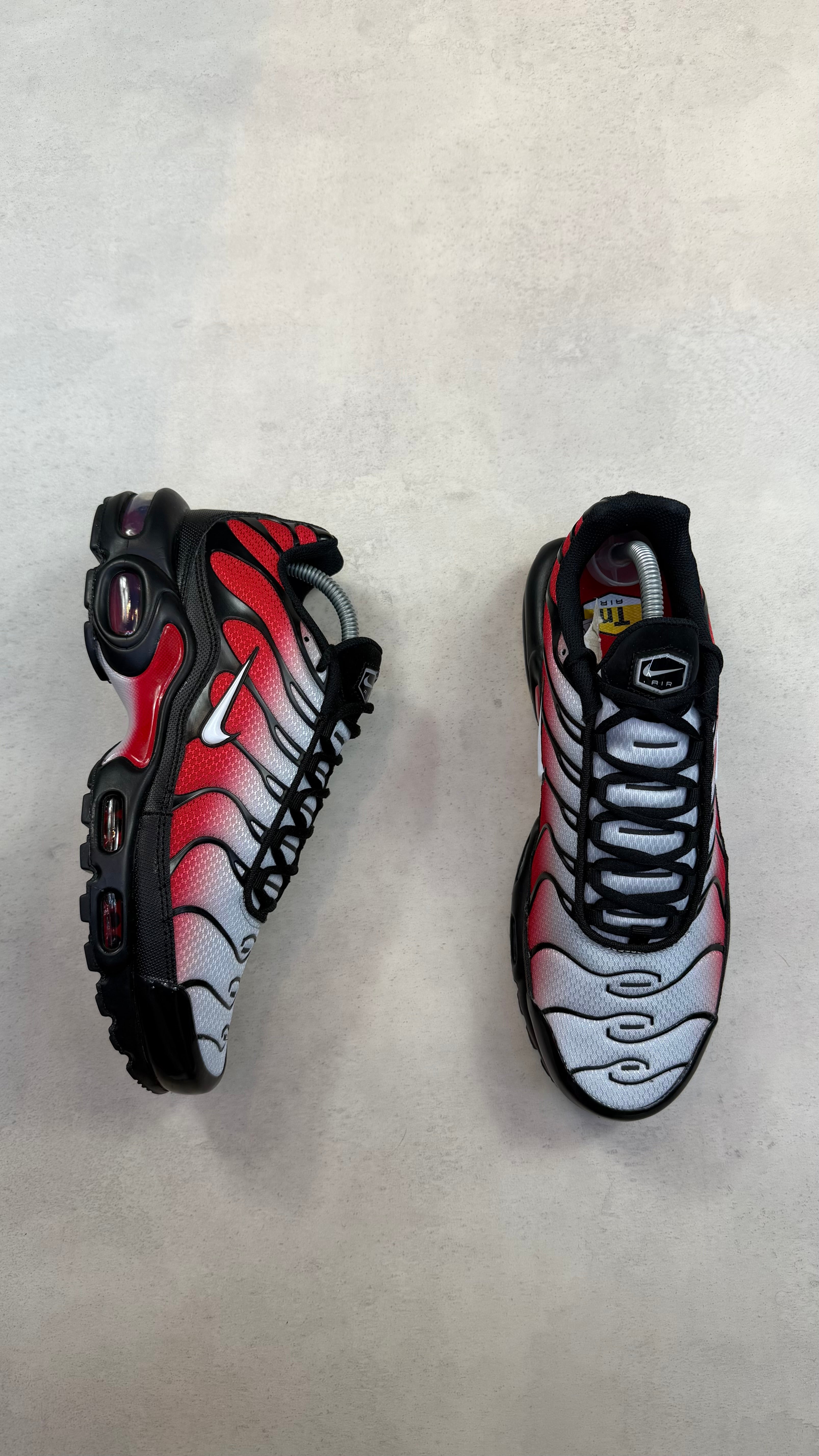 TN Red Gradient