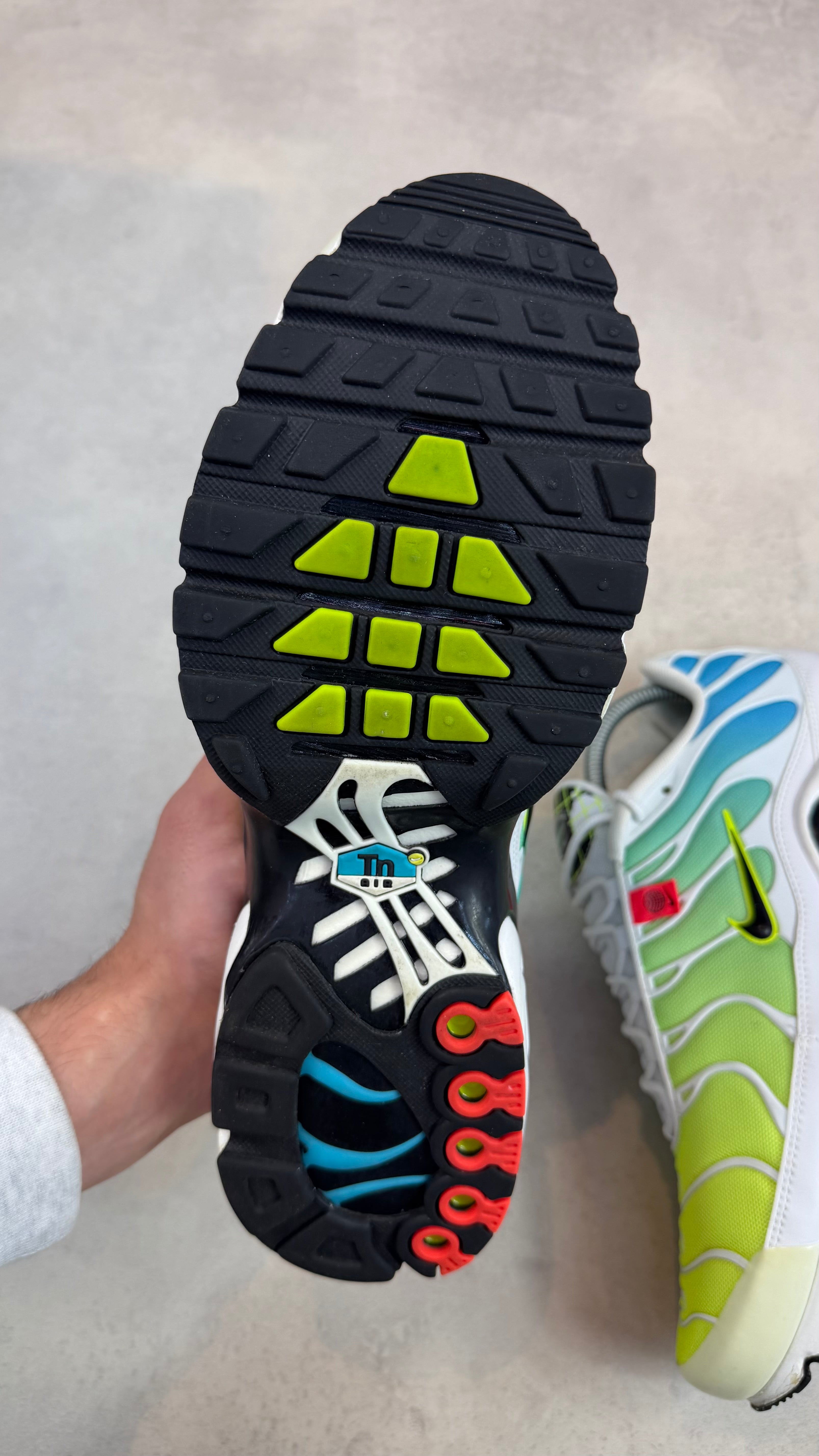TN Worldwide Green/Blue (Used)