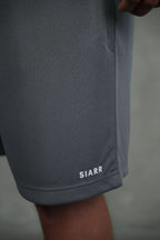 Siarr Mesh Shorts - Grey
