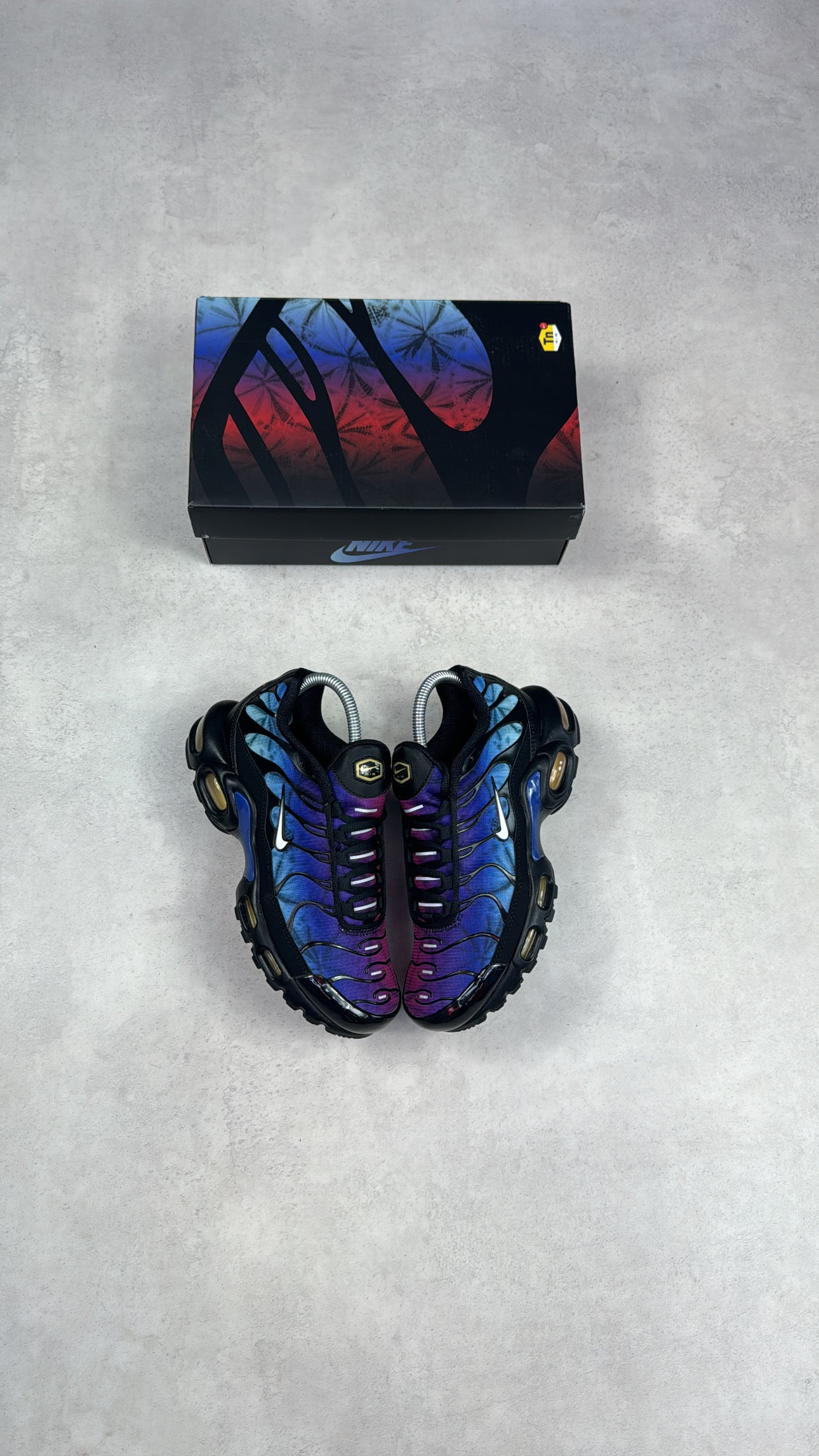 Junior TN Anniversary