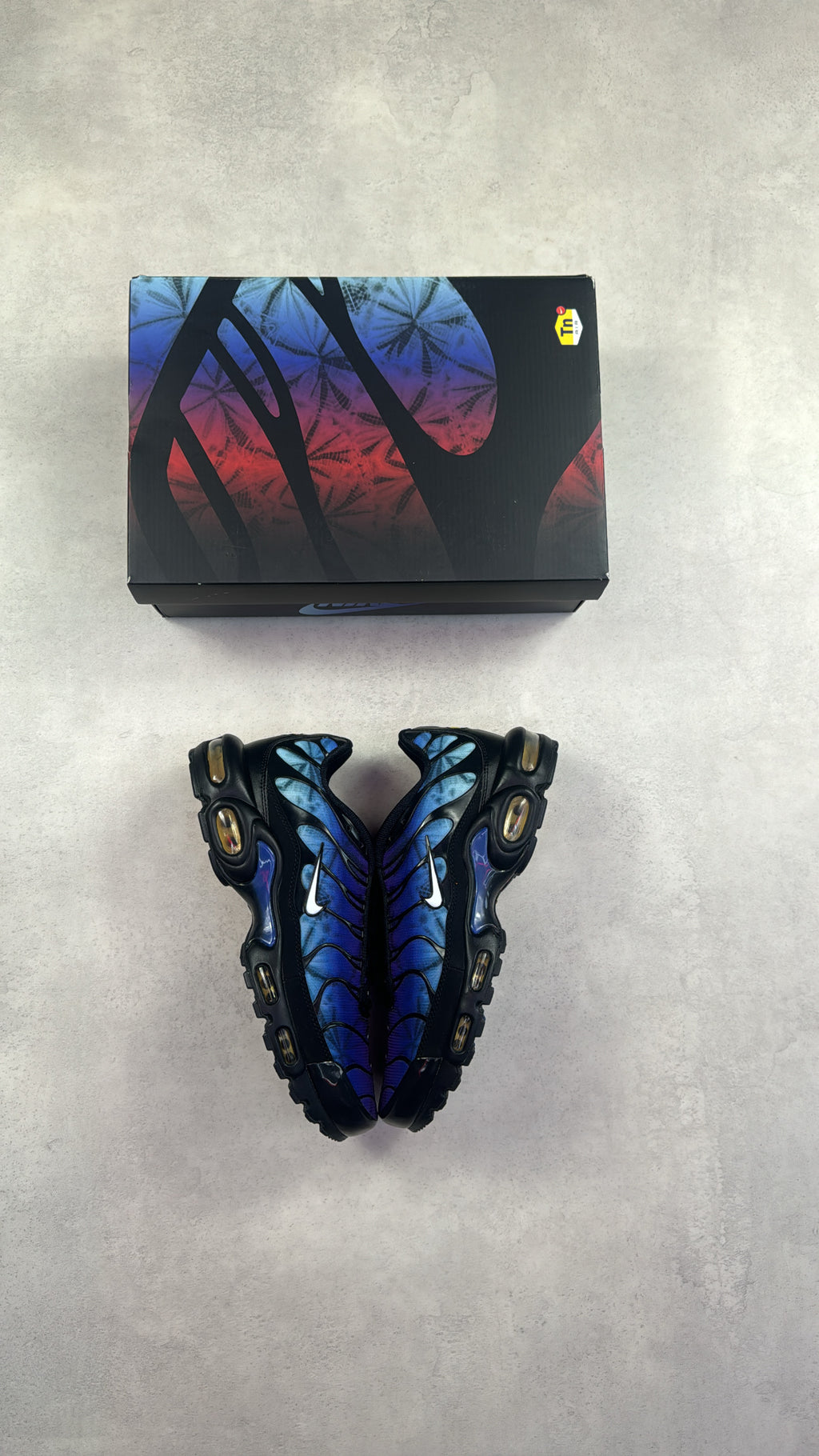 Junior TN Anniversary